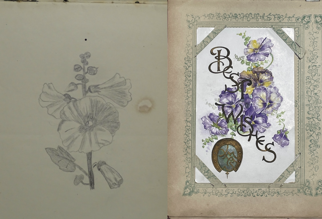 on the left: pencil sketch of hollyhock flowers. on the right" postcard framed in green decorative flowers with purple hollyhock flowers and the words Best wishes inscribed in brown, diagonally on the flowers